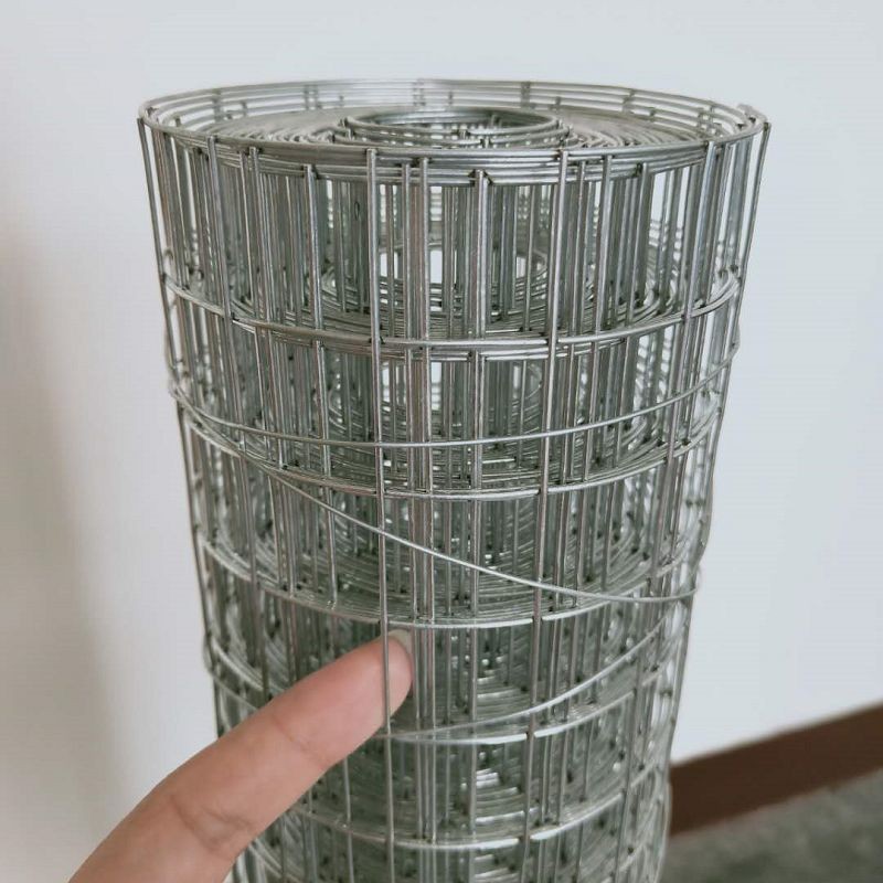 Galvanized Economy Welded Fence price